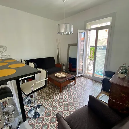 Appartement Grand En Centre Avec Terrasse